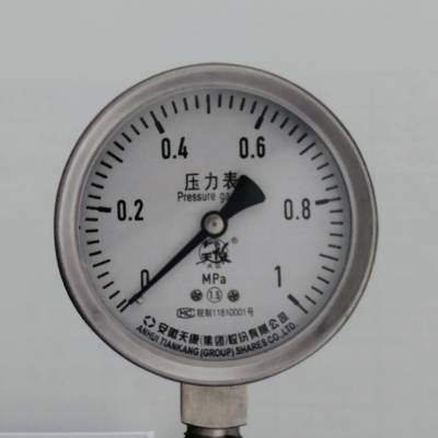 中国仪器仪表协会理事长单位天康YB-100压力表 精密测量，卓越品质